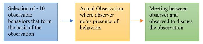 Peer Observation Flow Summary