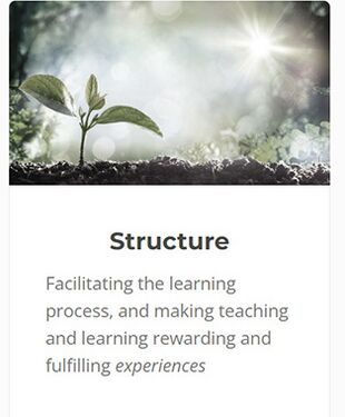 Ecostem structure.jpg